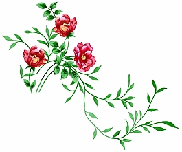 成熟優(yōu)雅女裝 T恤圖案 毛衫印花 優(yōu)雅植物 植物 免費(fèi)素材