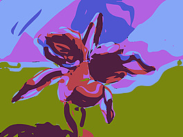 原aiflowers 446