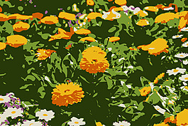 原aiflowers 284