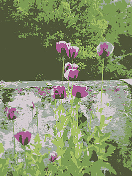 原aiflowers 137
