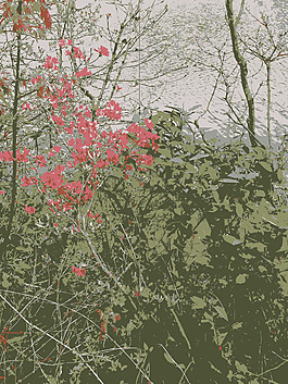 原aiflowers 37