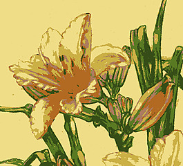 原aiflowers 28