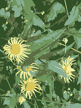 原aiflowers 261