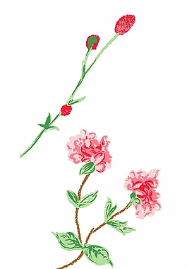 位圖 成熟優(yōu)雅女裝 T恤圖案 毛衫印花 優(yōu)雅植物 免費(fèi)素材