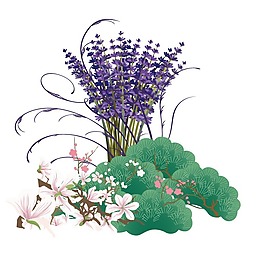 印花矢量圖 成熟優(yōu)雅女裝 T恤圖案 毛衫印花 優(yōu)雅植物 免費素材