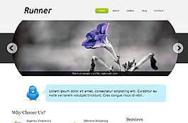 個(gè)性幻燈博客整站模板