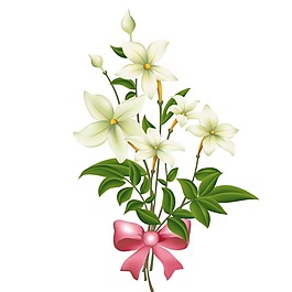 印花矢量圖 成熟優(yōu)雅女裝 植物 毛衫印花 優(yōu)雅植物 免費素材