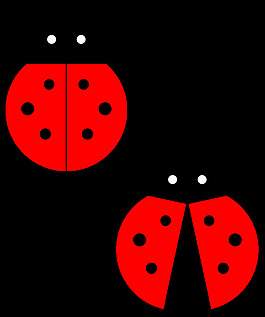 瓢蟲(chóng)