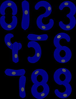 細(xì)胞數(shù)