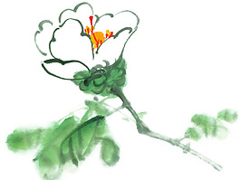位圖 植物 花卉 優(yōu)雅植物 水墨 免費(fèi)素材