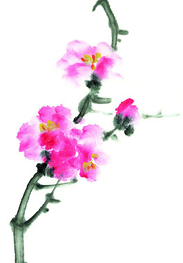 位圖 植物 花卉 優(yōu)雅植物 水墨 免費(fèi)素材