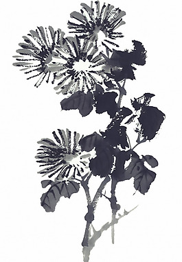 位圖 時(shí)尚休閑女裝 成熟優(yōu)雅女裝 植物 花卉 免費(fèi)素材