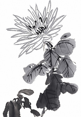 位圖 時(shí)尚休閑女裝 成熟優(yōu)雅女裝 植物 花卉 免費(fèi)素材