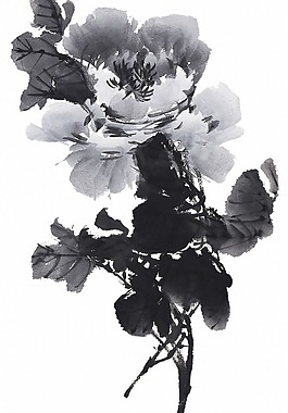 位圖 時尚休閑女裝 成熟優(yōu)雅女裝 植物 花卉 免費素材