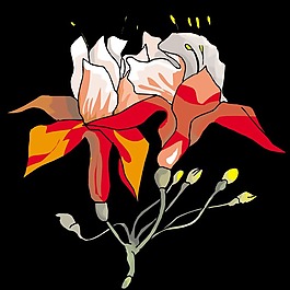 印花矢量圖 時尚休閑女裝 成熟優(yōu)雅女裝 植物 花卉 免費(fèi)素材