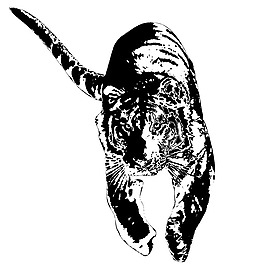 印花矢量圖 靚仔裝 動(dòng)物 T恤圖案 老虎 免費(fèi)素材