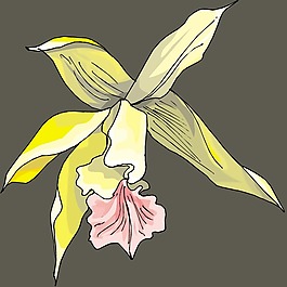 印花矢量圖 時(shí)尚休閑女裝 成熟優(yōu)雅女裝 植物 花卉 免費(fèi)素材