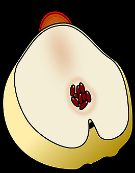 門(mén)布里約
