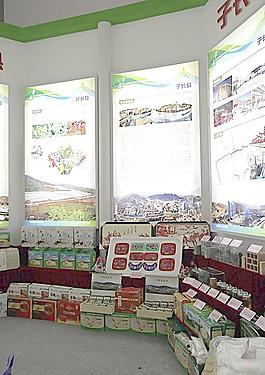 展會(huì)裝飾圖片