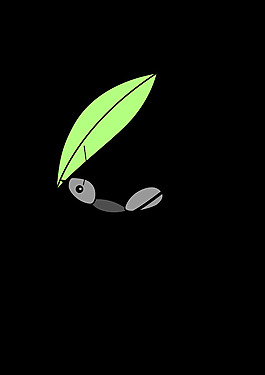 Acromyrmex
