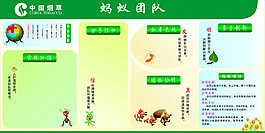中國煙草螞蟻團隊