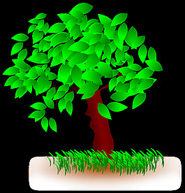 樹arbol