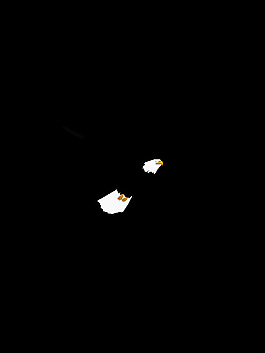 鷹
