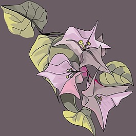 印花矢量圖 時尚休閑女裝 成熟優(yōu)雅女裝 植物 花卉 免費素材