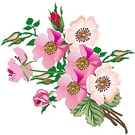 印花矢量圖 時(shí)尚休閑女裝 成熟優(yōu)雅女裝 植物 花卉 免費(fèi)素材