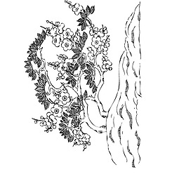 印花矢量圖 民族風(fēng)格 優(yōu)雅植物 毛衫印花 優(yōu)雅植物 免費(fèi)素材