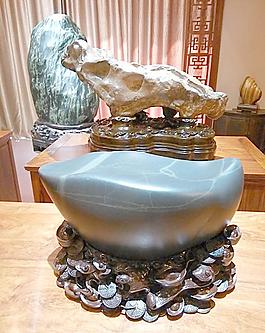 展览图片