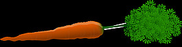chrisdesign_6582f5ac