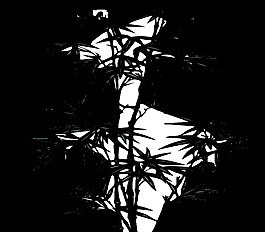 anonymous_7ec69