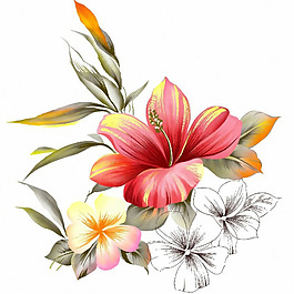 位圖 時尚休閑女裝 成熟優(yōu)雅女裝 植物 花卉 免費素材