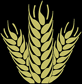 1 -特里戈小麦