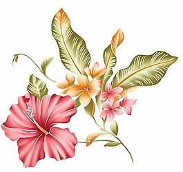 位圖 時(shí)尚休閑女裝 成熟優(yōu)雅女裝 植物 優(yōu)雅植物 免費(fèi)素材