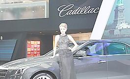 2014北京國際汽車圖片