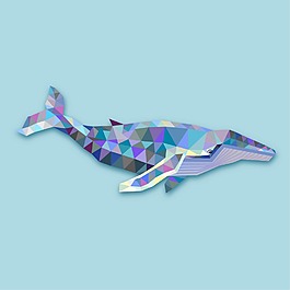 创意海豚