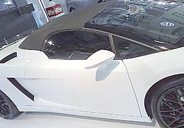 展覽圖片