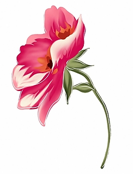 位圖 時尚休閑女裝 成熟優(yōu)雅女裝 植物 花卉 免費素材