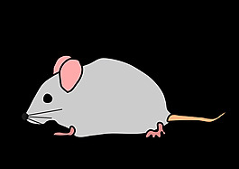 鼠標
