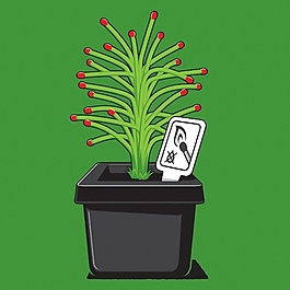 位圖 靚仔裝 T恤圖案 植物 盆栽 免費(fèi)素材