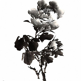 位圖 時尚休閑女裝 成熟優(yōu)雅女裝 水墨 藝術(shù)效果畫 免費素材