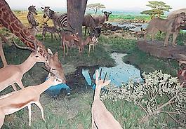 草原動物模型圖片