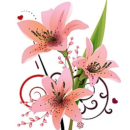 印花矢量圖 成熟優(yōu)雅女裝 時尚休閑女裝 植物 花卉 免費(fèi)素材