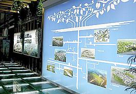 展會裝飾圖片