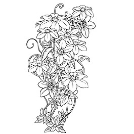 印花矢量圖 成熟優(yōu)雅女裝 色彩 黑白色 免費(fèi)素材