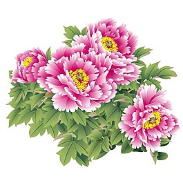 印花矢量圖 時(shí)尚休閑女裝 成熟優(yōu)雅女裝 植物 優(yōu)雅植物 免費(fèi)素材