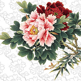 位圖 時(shí)尚休閑女裝 成熟優(yōu)雅女裝 植物 優(yōu)雅植物 免費(fèi)素材