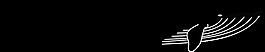 鯨魚的重要